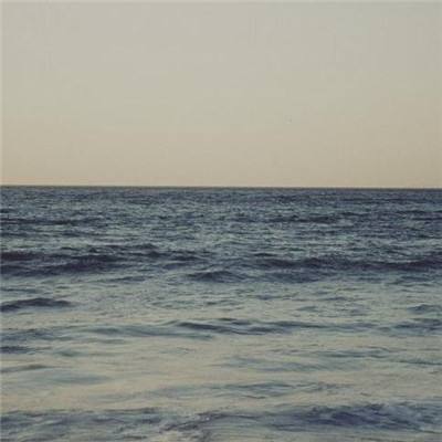 半导综合体育下载